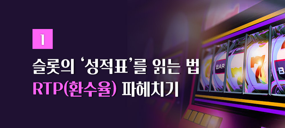 RTP 알아보기