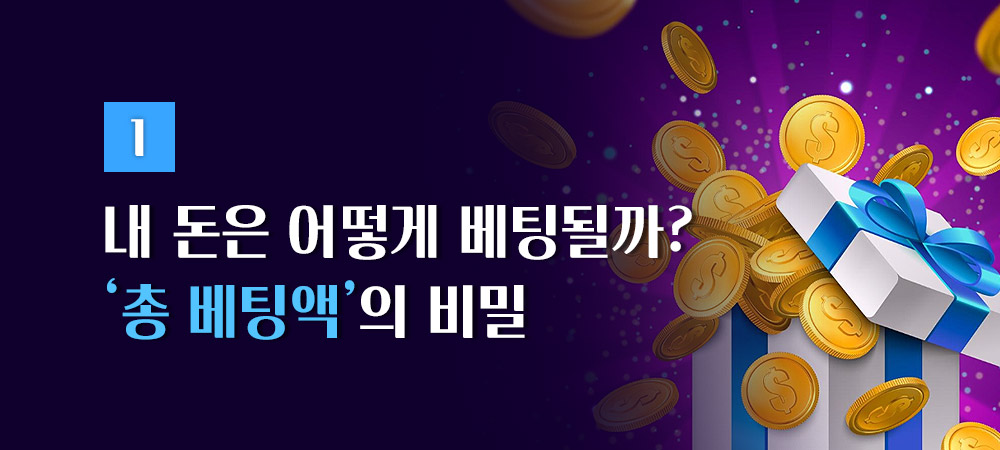 총 베팅액의 비밀